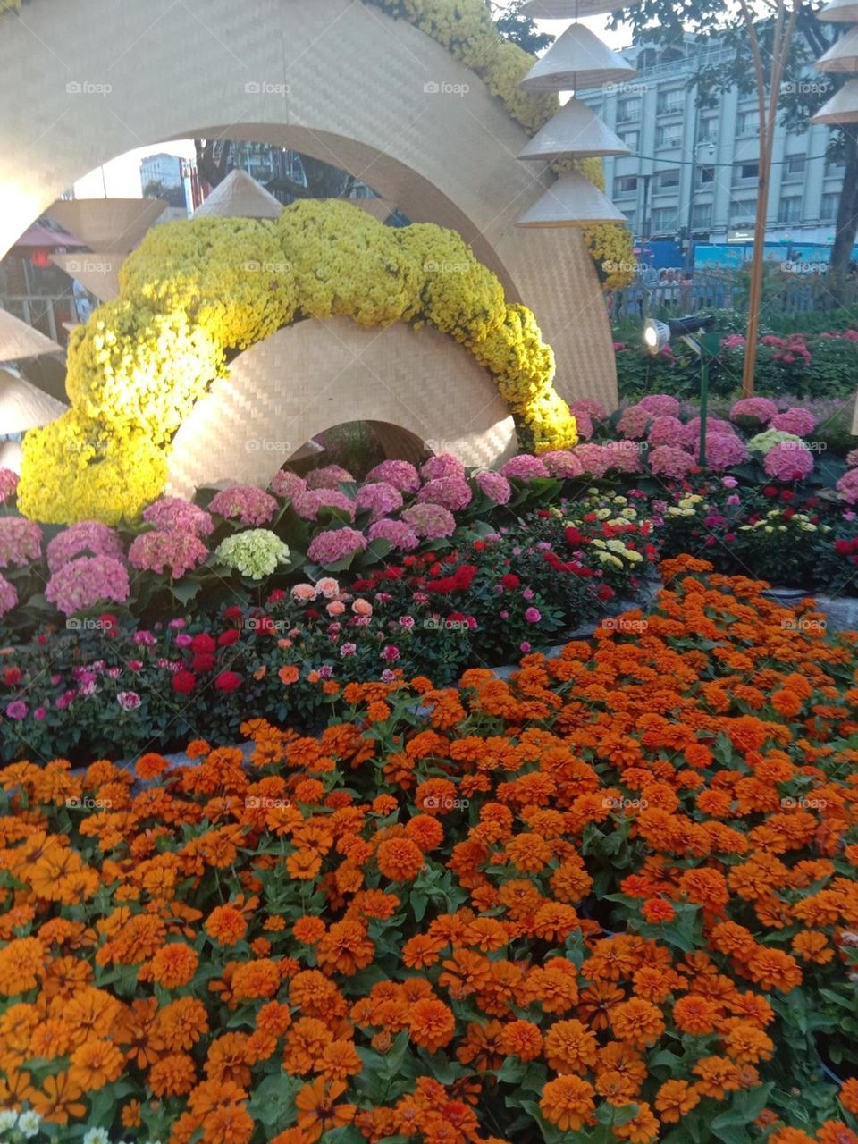 Đường hoa nguyễn Huệ.