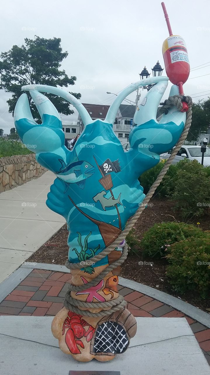 Painted Lobster of Plymouth,  Massachusetts 5