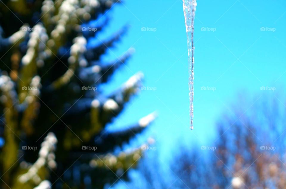 winter sky nature blue by lexlebeur