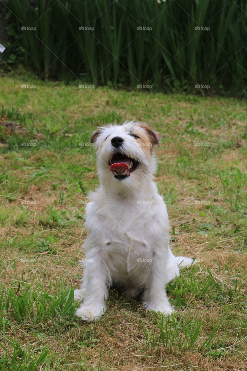 Waiting for the ball