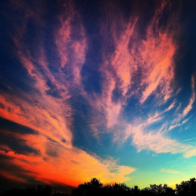 Sunset flames 