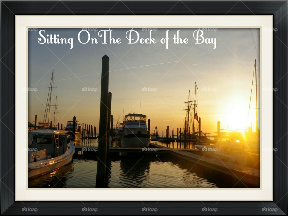 Chilling on the dock