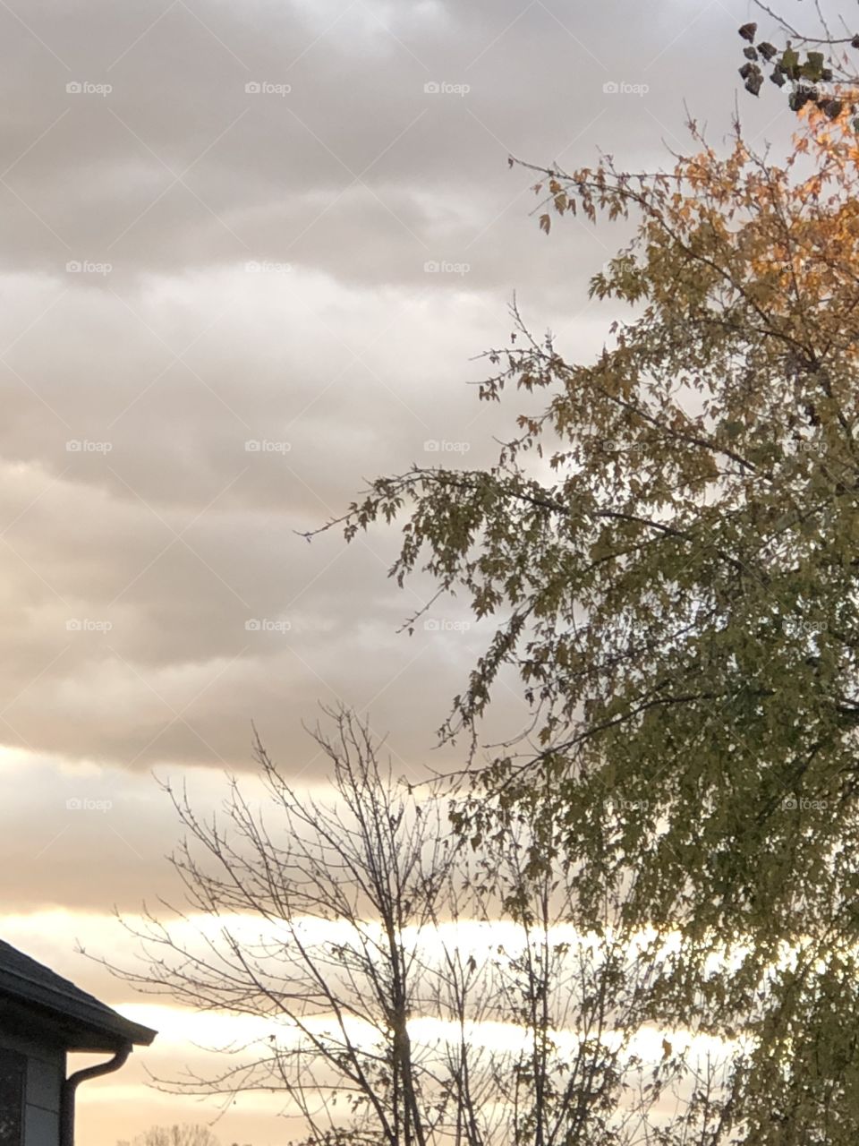 A lovely layered look sky on a fall morning