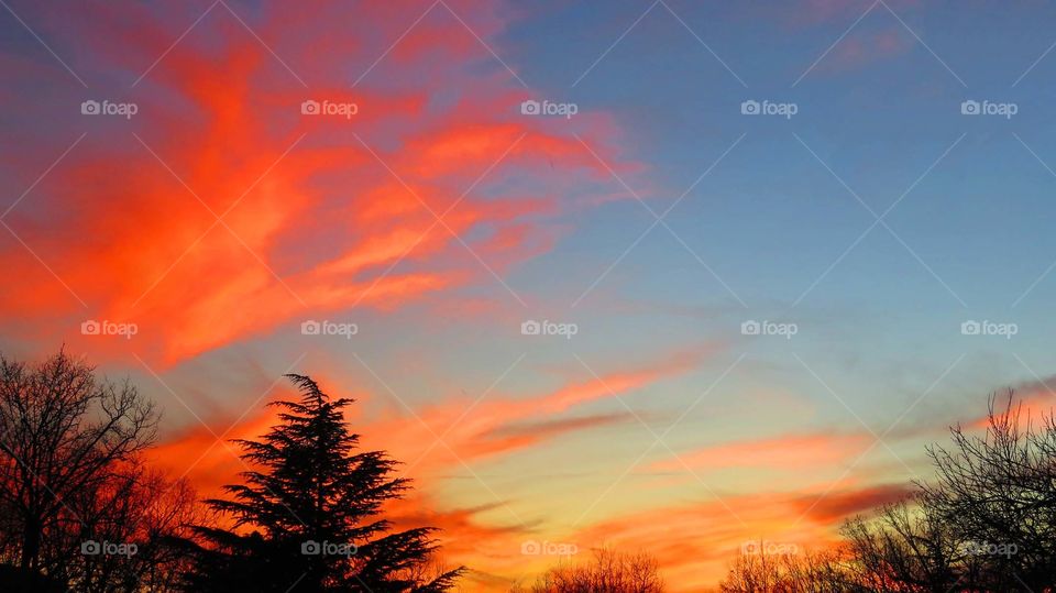 A vivid peach sunset. A bright sunset on a clear Fall evening. The clouds are wispy and when illuminated by the lowering sun, they become the following colors, dark bright peach, bright orange. yellow, and pink.  The sky is mostly blue with yellow.