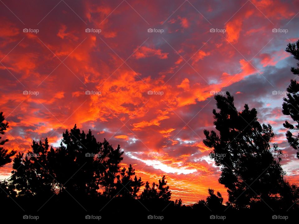 Fire in the sky sunset, unedited 