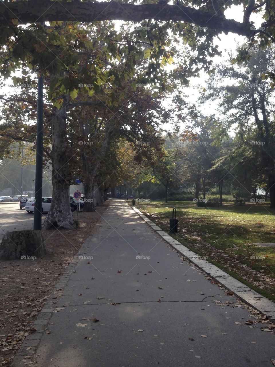 Autumn in the streets of Budapest 