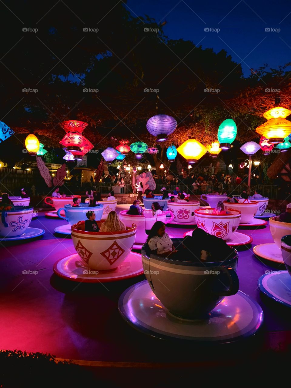 Disneyland Tea Cips