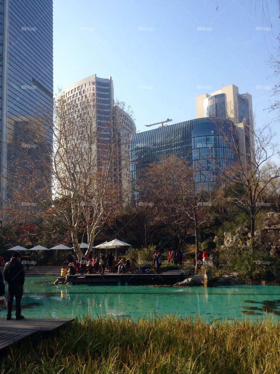 A pond in the park in the downtown 