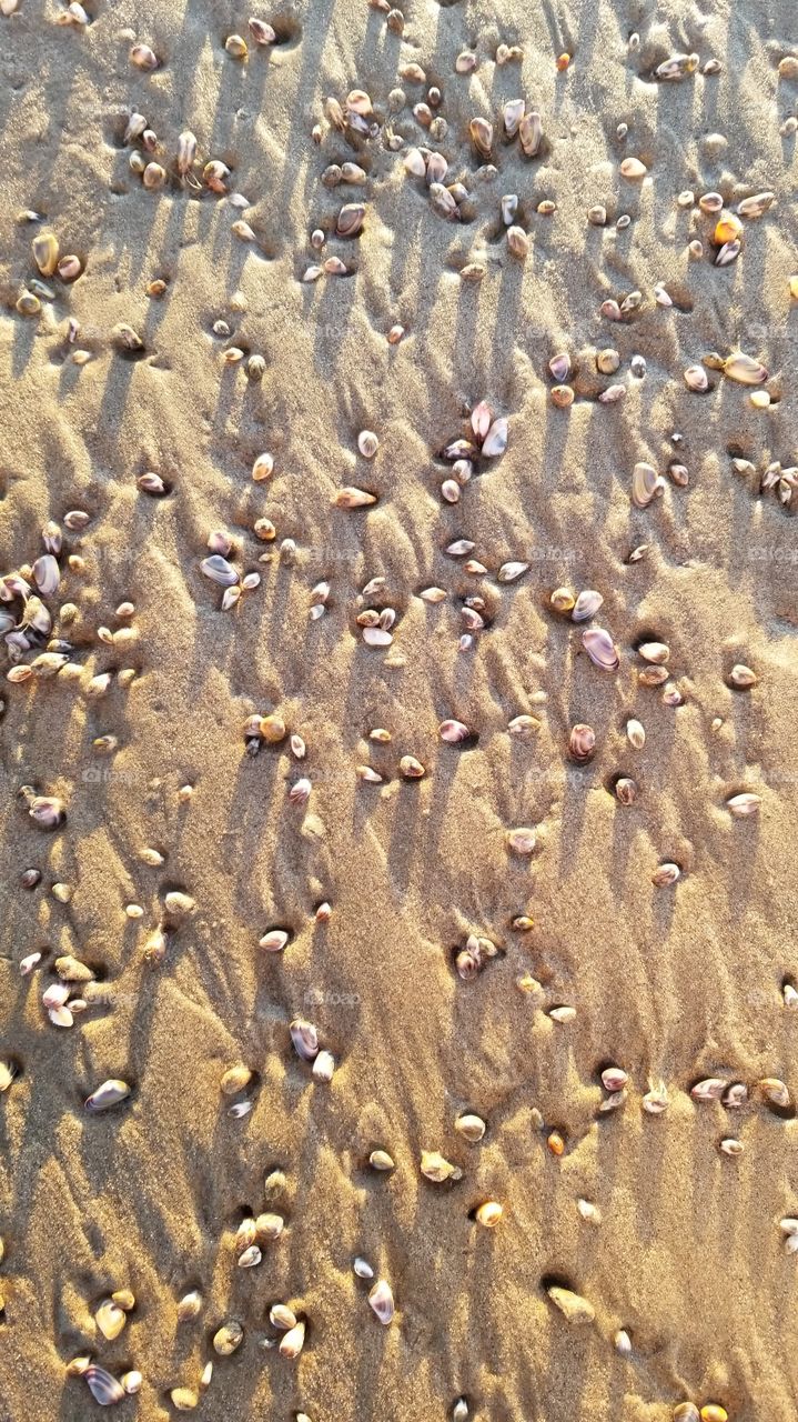 Pebbles in the sand