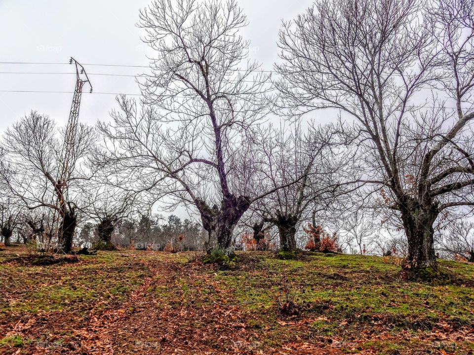 Hiking outside Sevilla, Spain