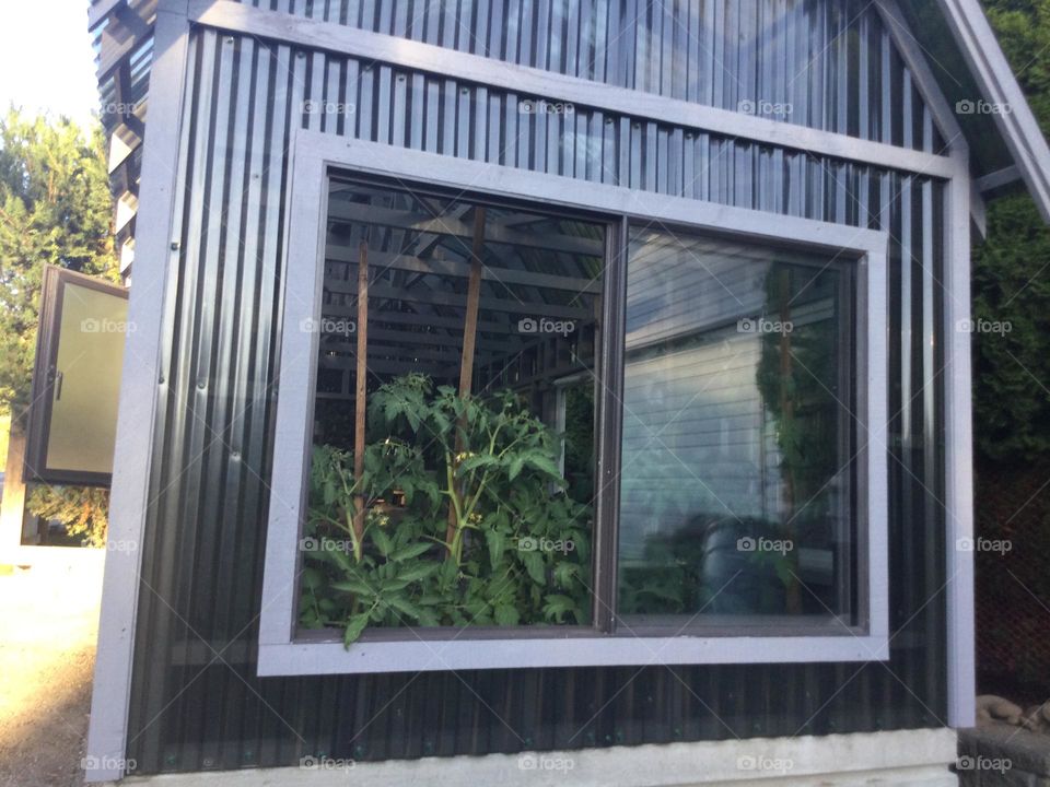 The Window into a Greenhouse 