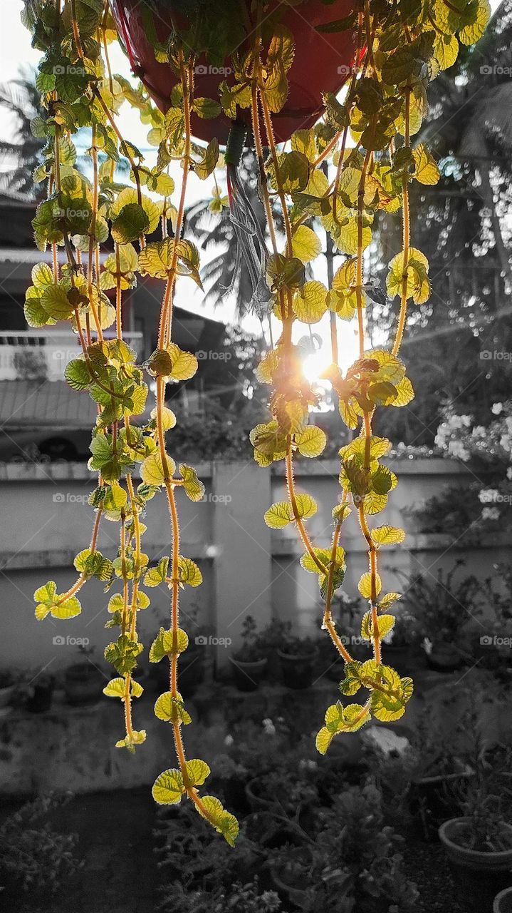 Welcoming spring with sunshine