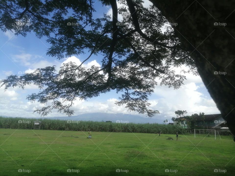 Sunny with white cloud