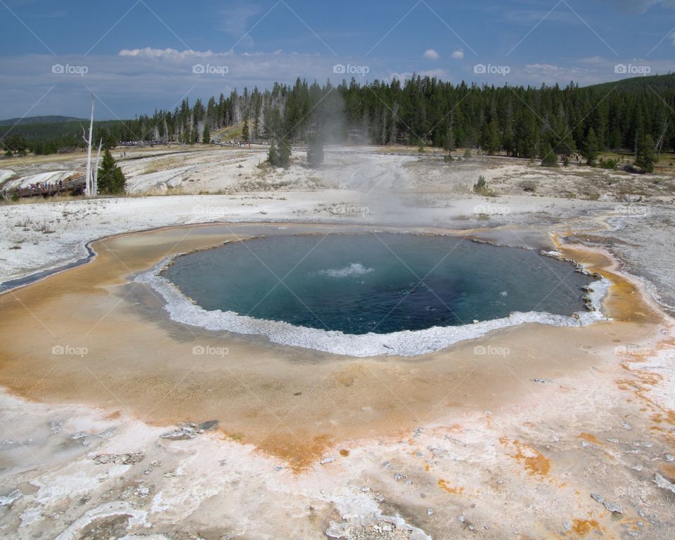 The Great Prismatic Spring on Geyser Hill in Yellowstone National Park boiling its beautiful turquoise water on a sunny summer day. 