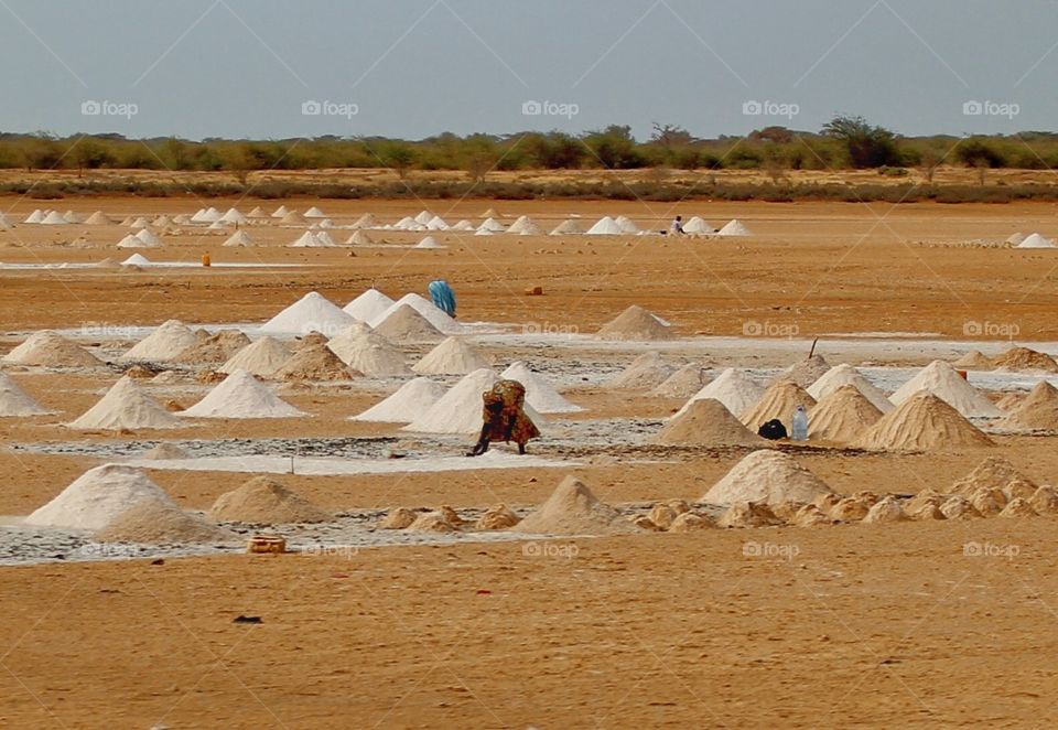 Women gathering salt