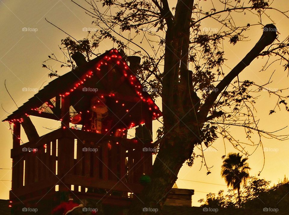 Treehouse With Christmas Lights
