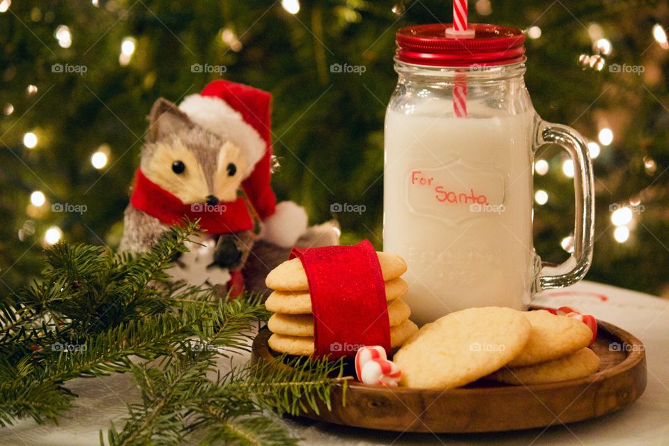 Christmas cookies and milk for Santa 