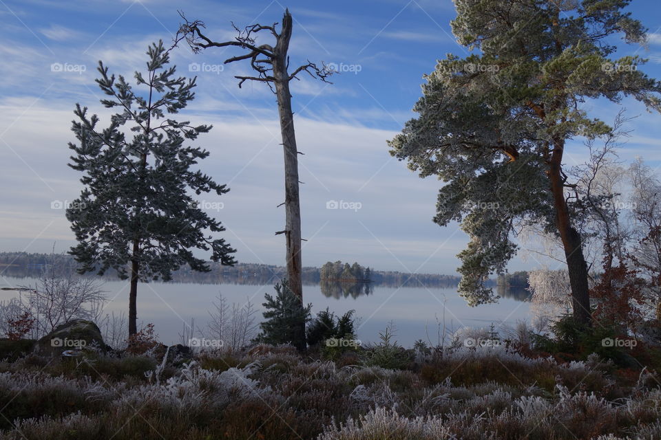 Scenic view of winter landscape