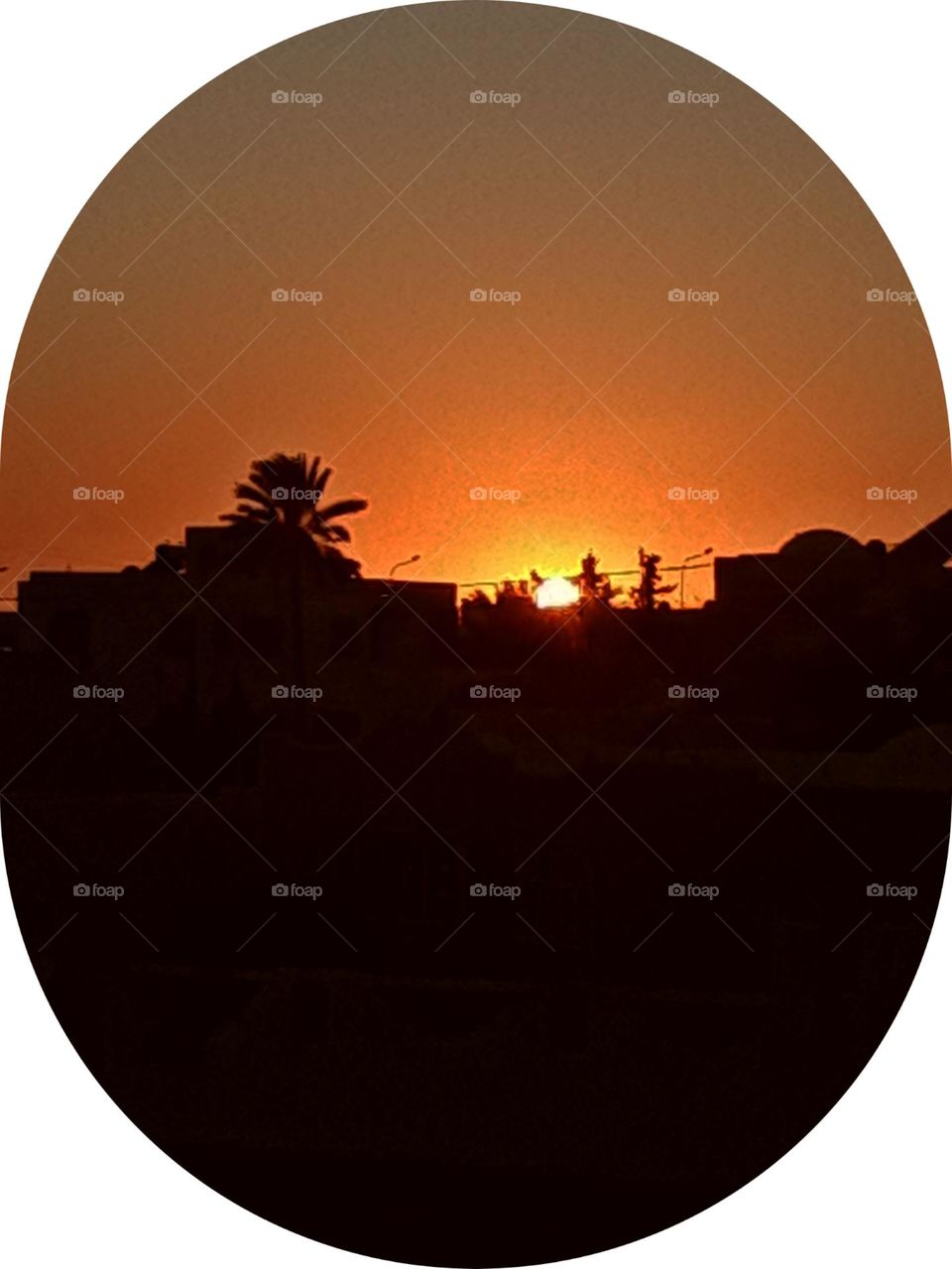 This photo was taken at sunset
The sun appears preparing to disappear, and in the picture there is a palm tree and spectra of buildings