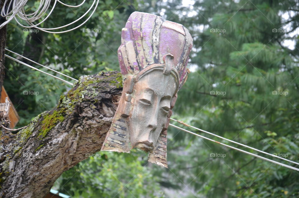creativity
face
nature
handmade creation
rain
tree
art