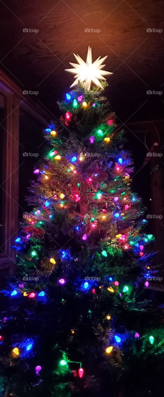 Christmas Tree with white Star & multicolored lights. Tree displayed on farmers porch, night time photo🎄⭐🎄