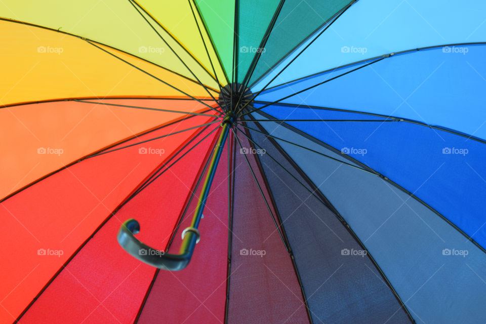 umbrella