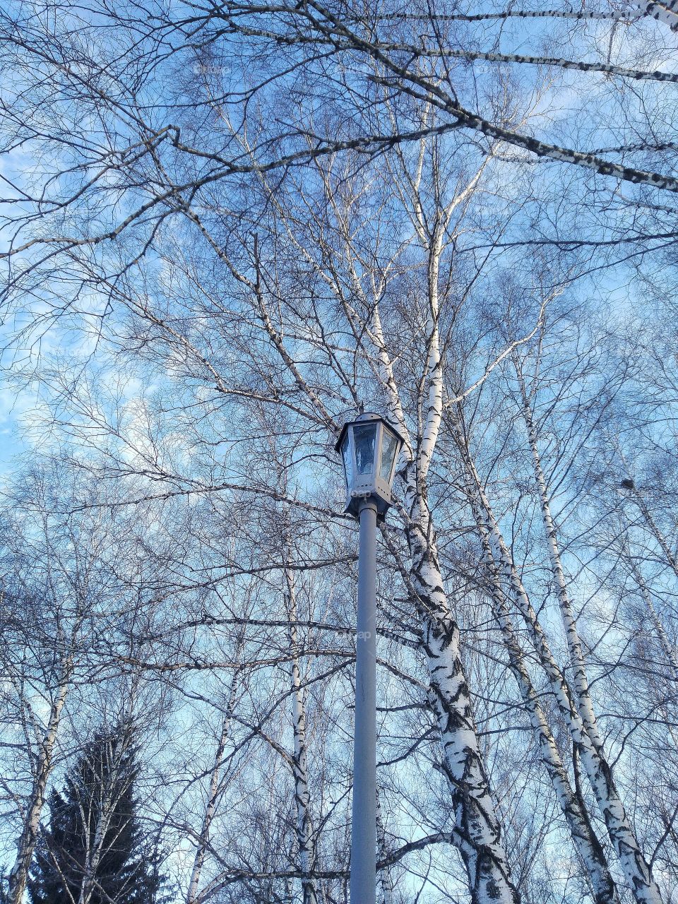lamp. beautiful sky. spring.