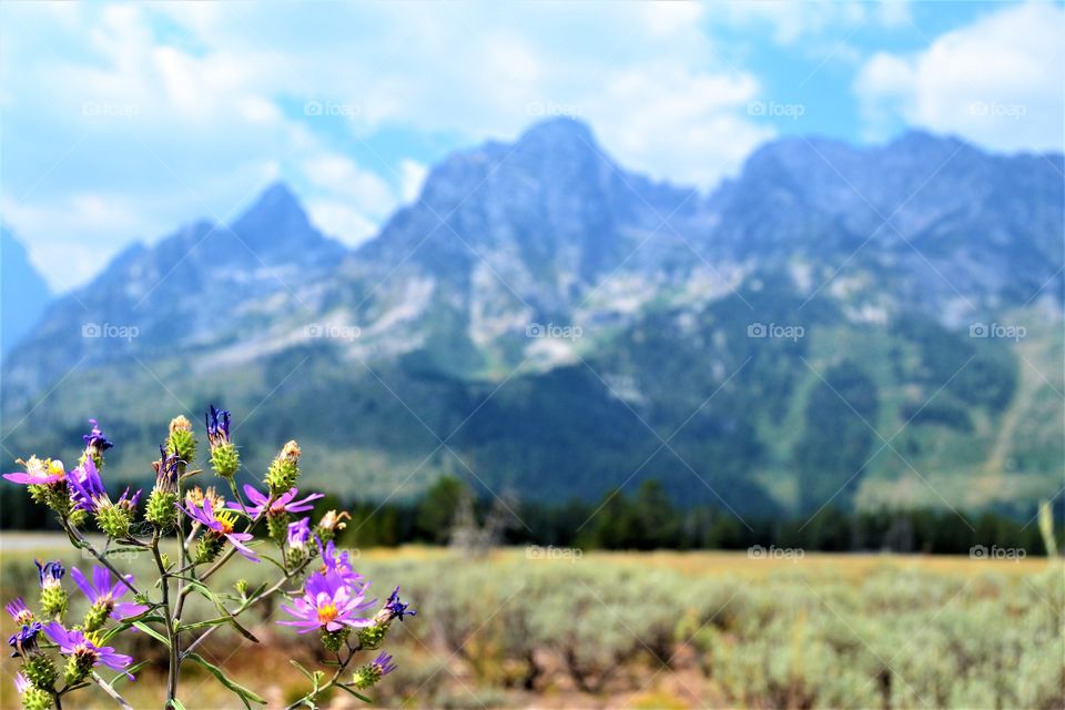 Landscape, Nature, Mountain, No Person, Outdoors