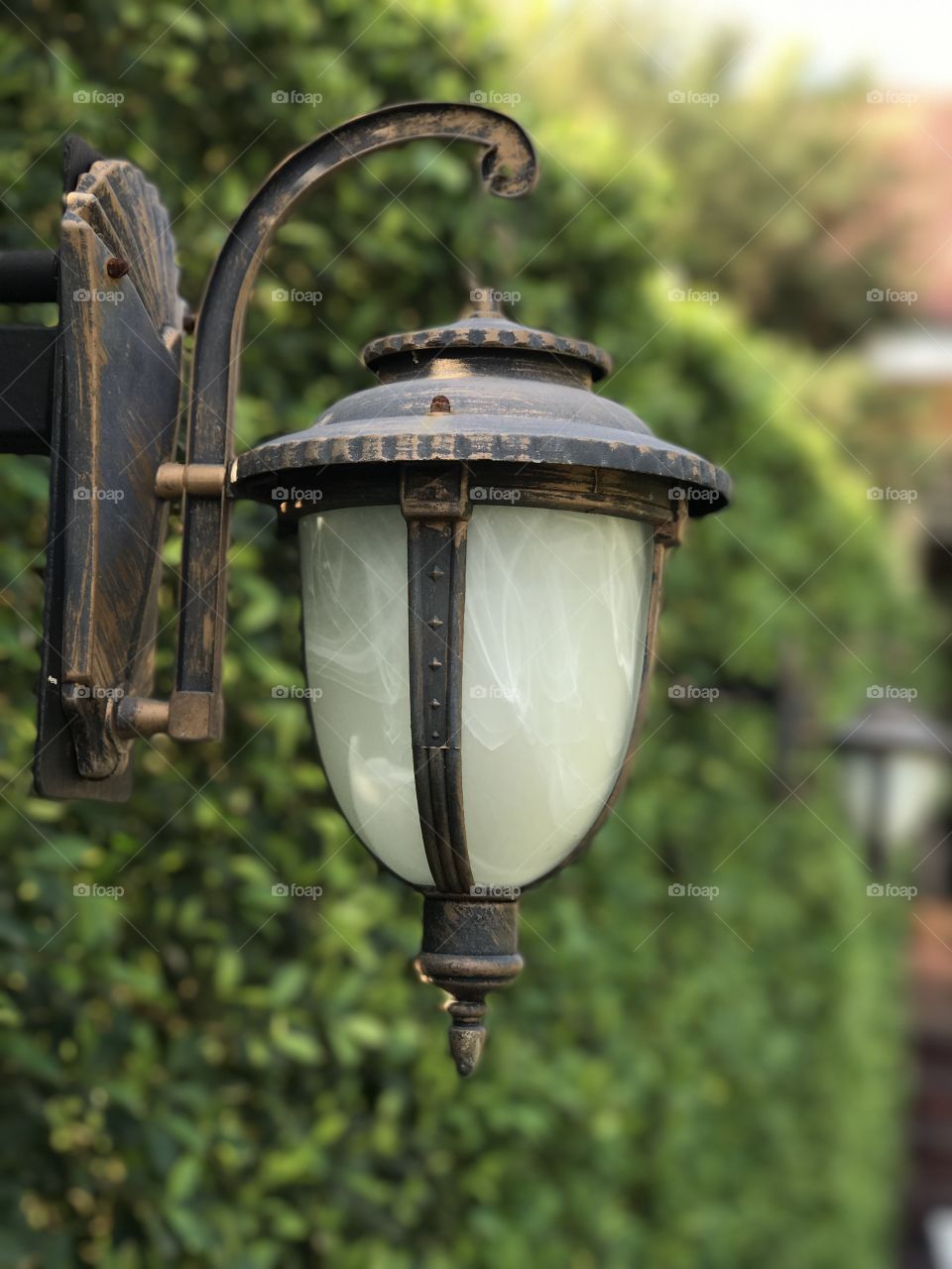 Retro lamp hang on a post near bush fence