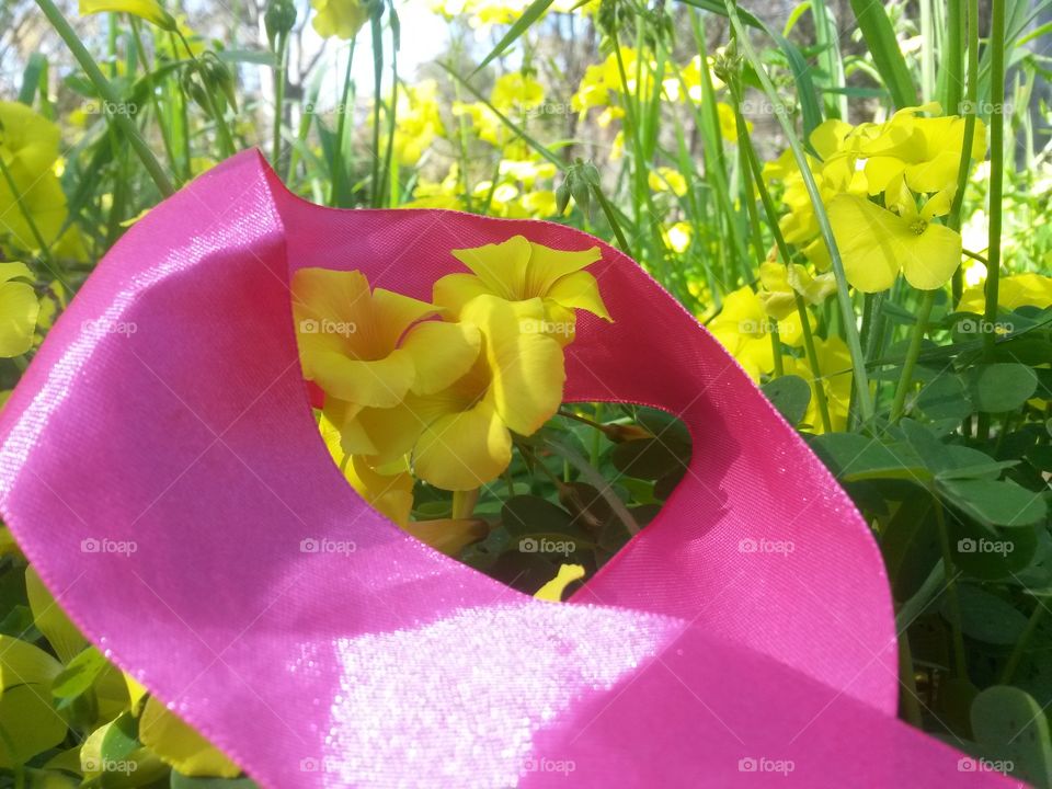 pink ribbon into natural yellow wild flowers and green four leaves