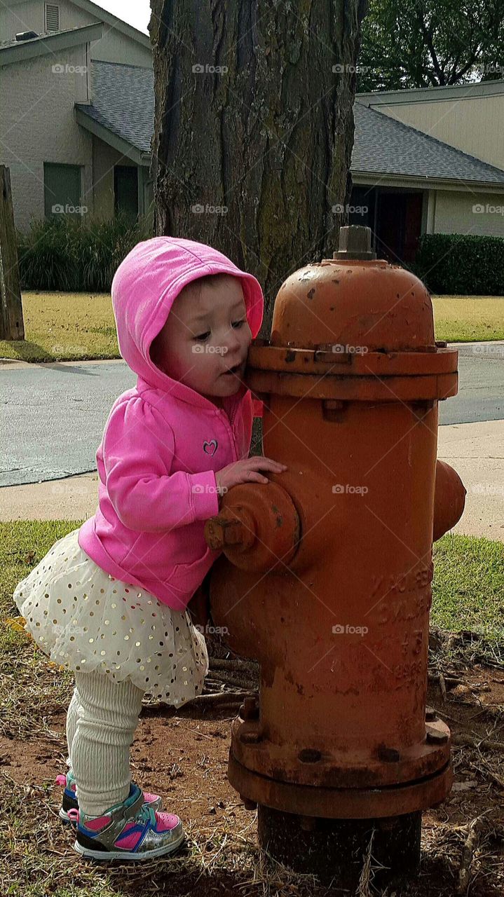 Precious fire hydrant