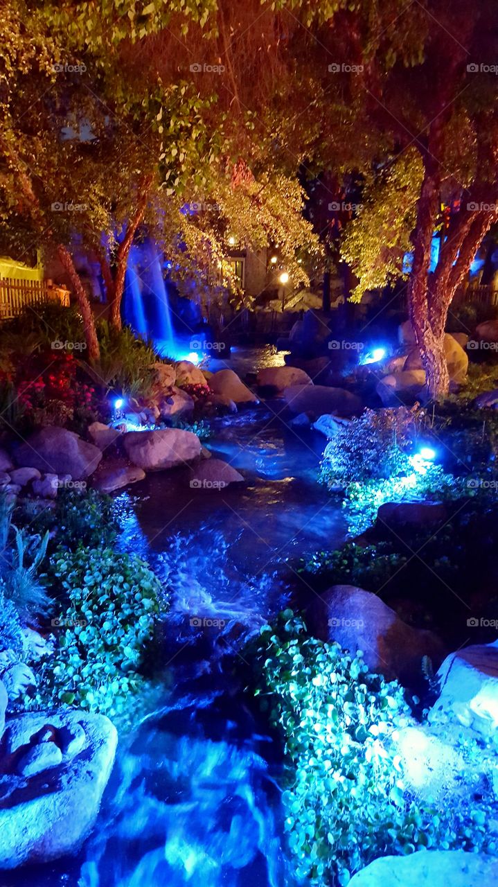 evening on the creek