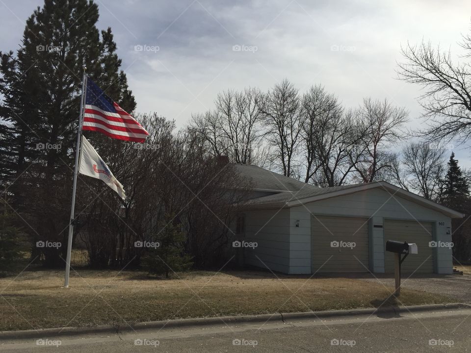 Flag, No Person, Home, Landscape, Tree