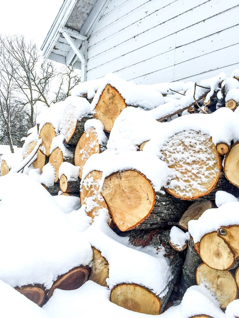 Winter Wood Stockpile