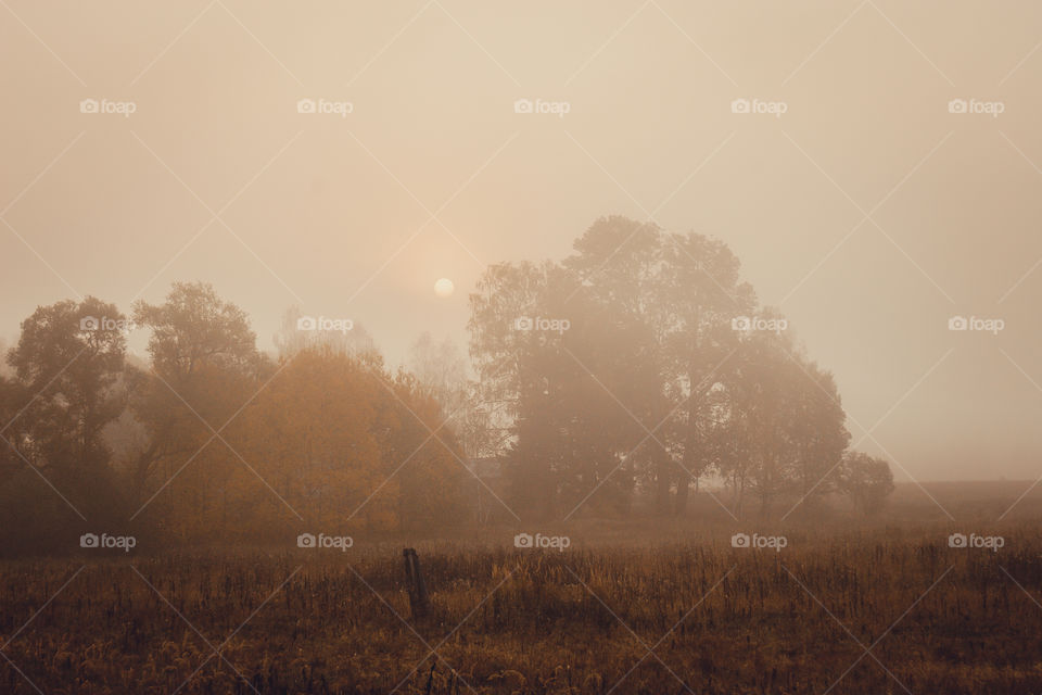 Autumn misty landscape at early morning 