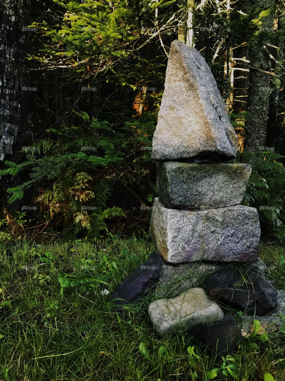 rocks