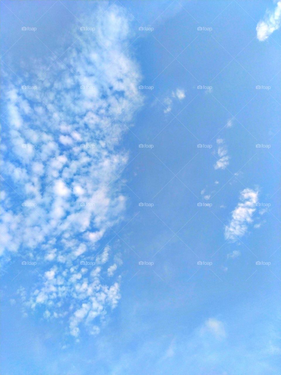 sunny morning, with a beautiful sky