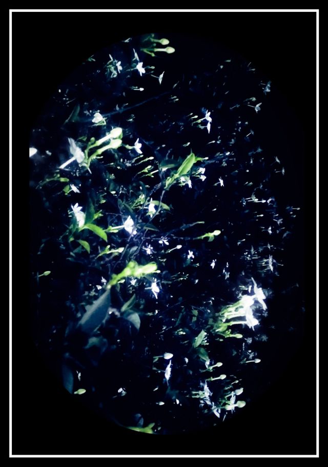 The flower of love