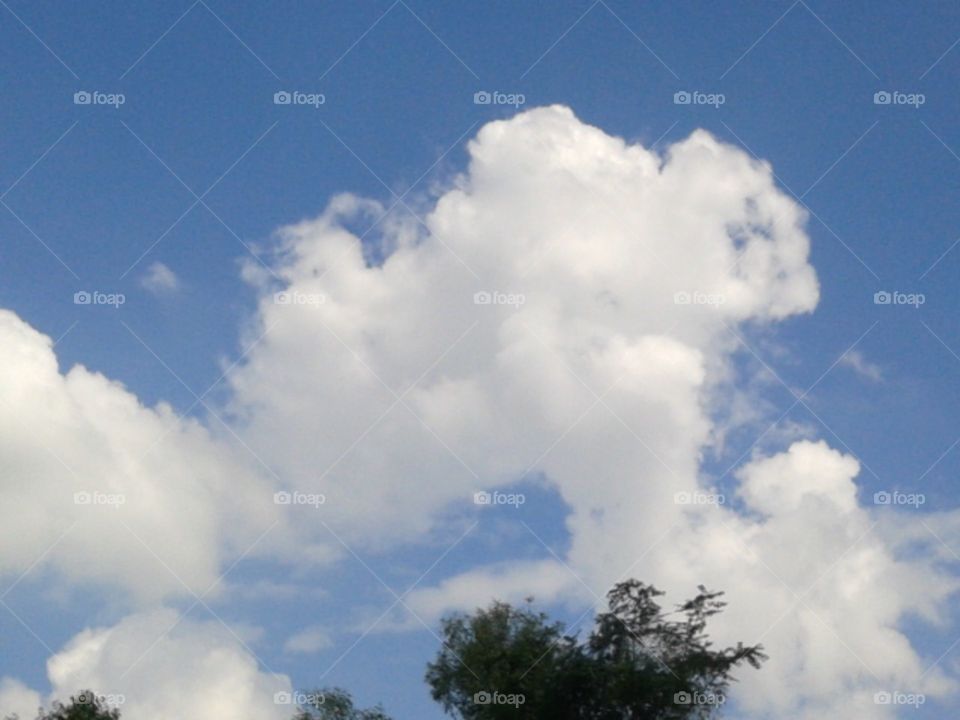 A gorilla with the human's face in the blue sky.