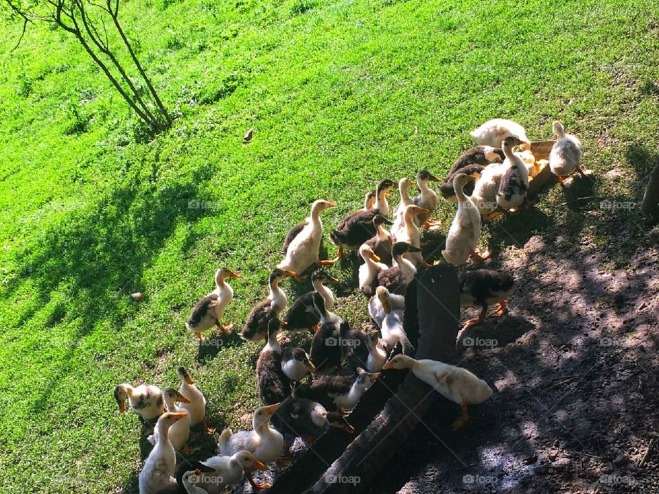 A day in a large family