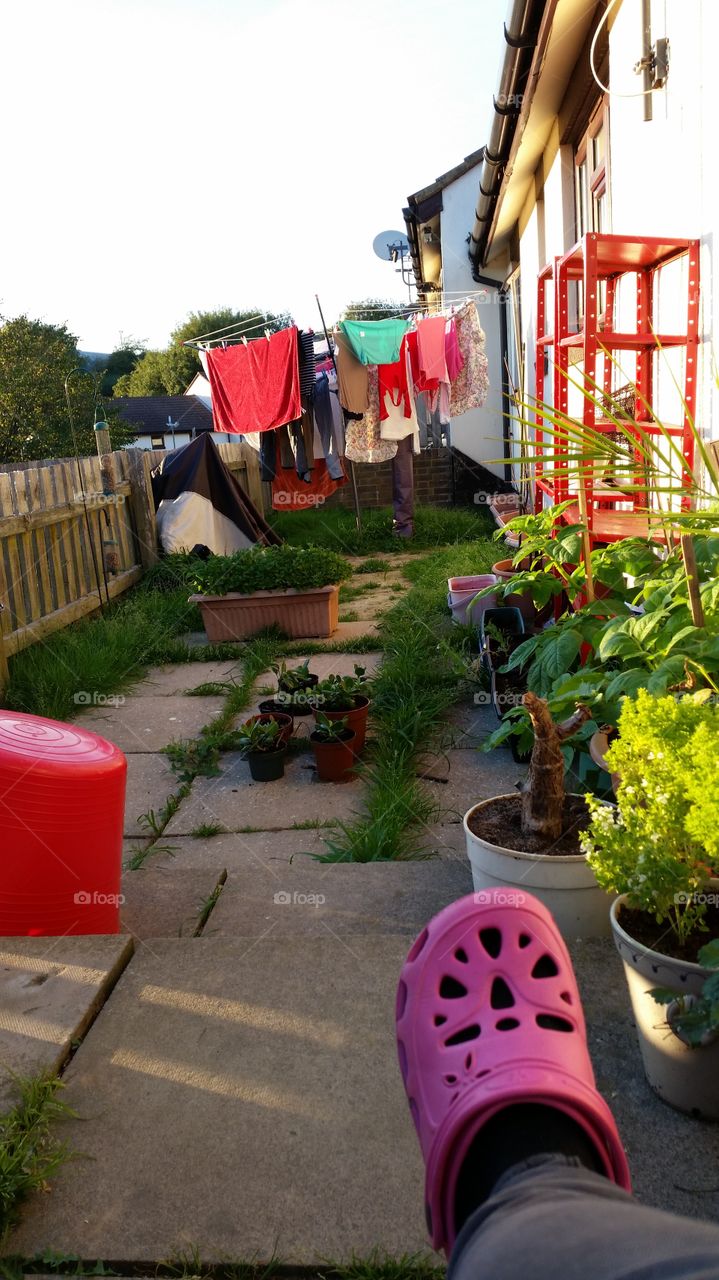 Street, Flower, Garden, No Person, Urban