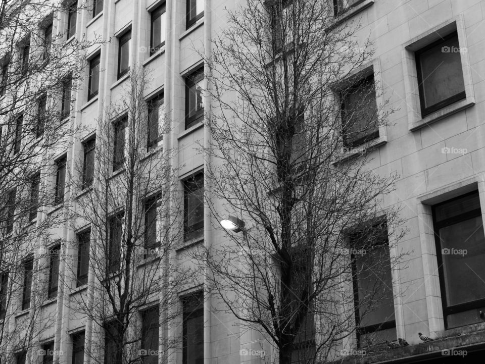 Facade of an office building in Antwerp, Belgium.