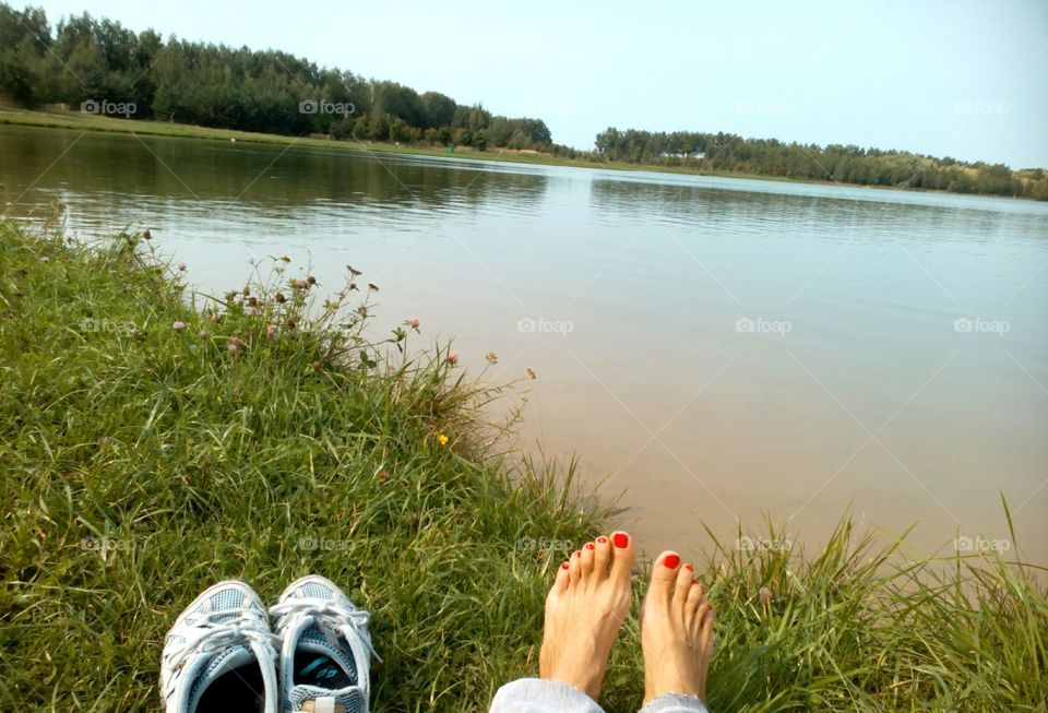 Lake, Grass, Water, Nature, Summer