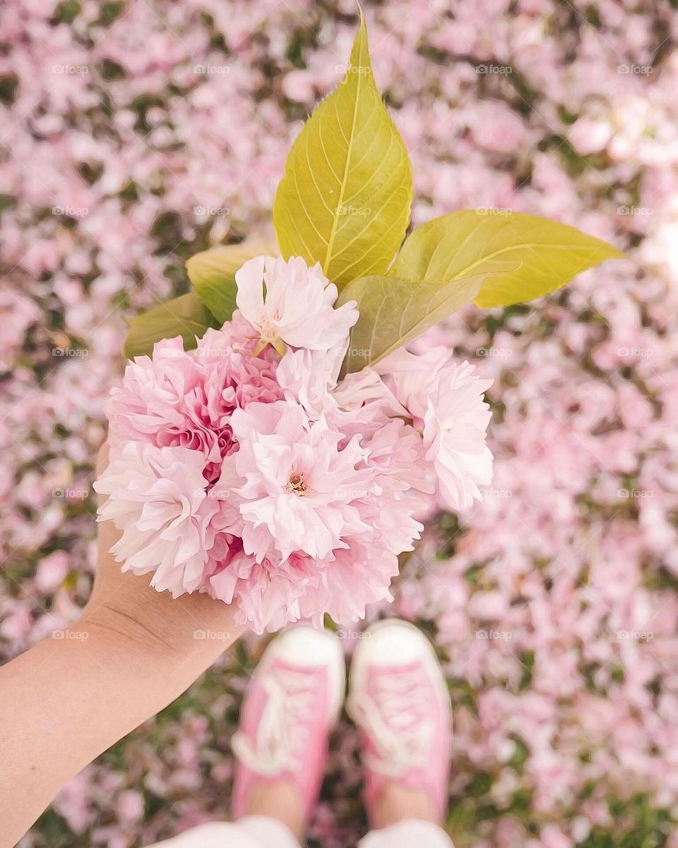 pink flowers, pink carpet, pastel color, baby pink