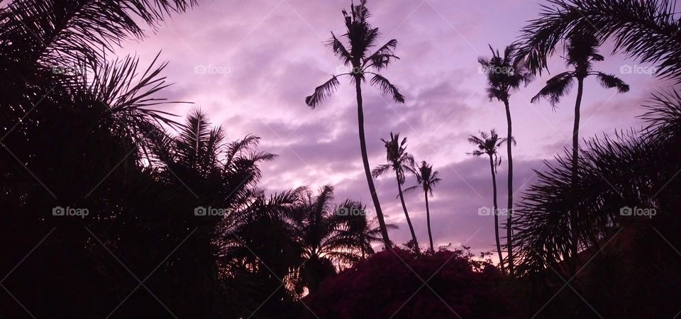 Sunrise 💟 Landscape 💟 Sky💟 No filter 💟