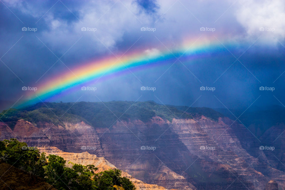 Waimea Rainbow 2