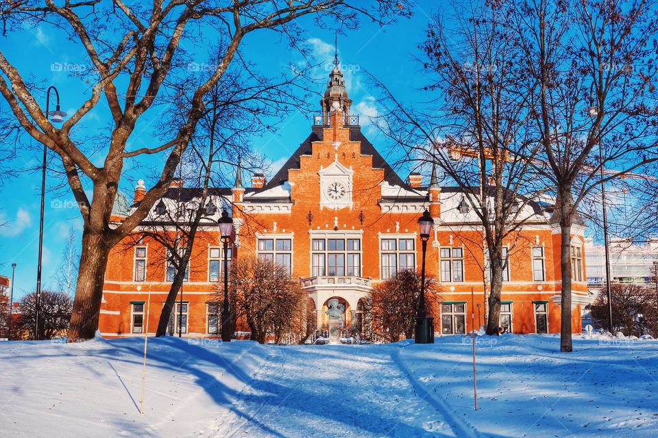 Winter, Tree, Snow, Architecture, Building