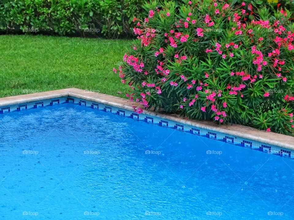 Backyard Swimming Pool
