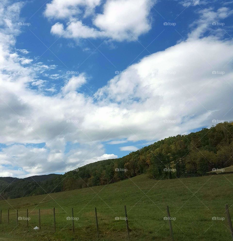 Cloud Watching