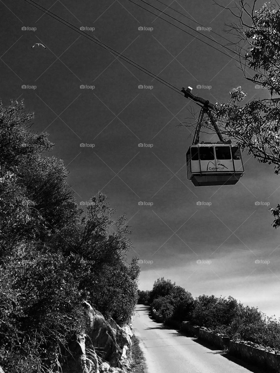 Black and white photography, cable car, sky, Gibraltar 
